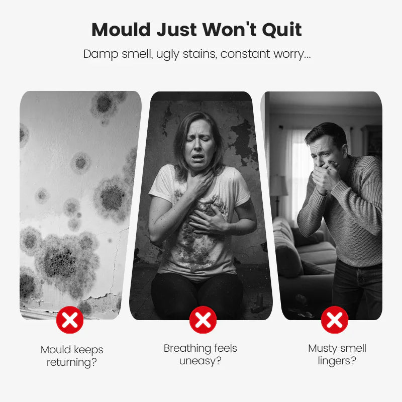 🆙🆙🔥Highly Effective Mould Removal Spray - Prevents Mould Regrowth.🛡️Save your and your family's health🏠