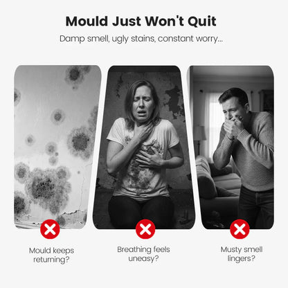 🆙🆙🔥Highly Effective Mould Removal Spray - Prevents Mould Regrowth.🛡️Save your and your family's health🏠
