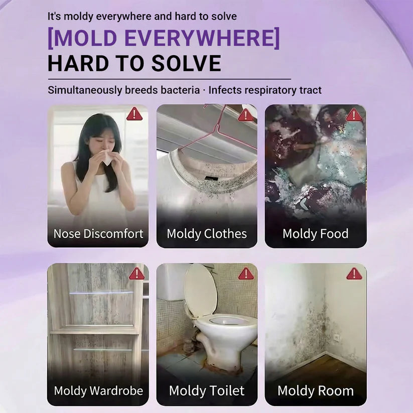 GFOUK® Mold Clearing Magic Box ✨ Stop Mildew & Odors Instantly! 🏠 24/7 Air Purification & Moisture Defense
