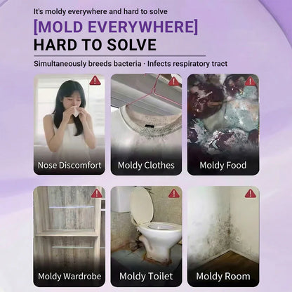 GFOUK® Mold Clearing Magic Box ✨ Stop Mildew & Odors Instantly! 🏠 24/7 Air Purification & Moisture Defense